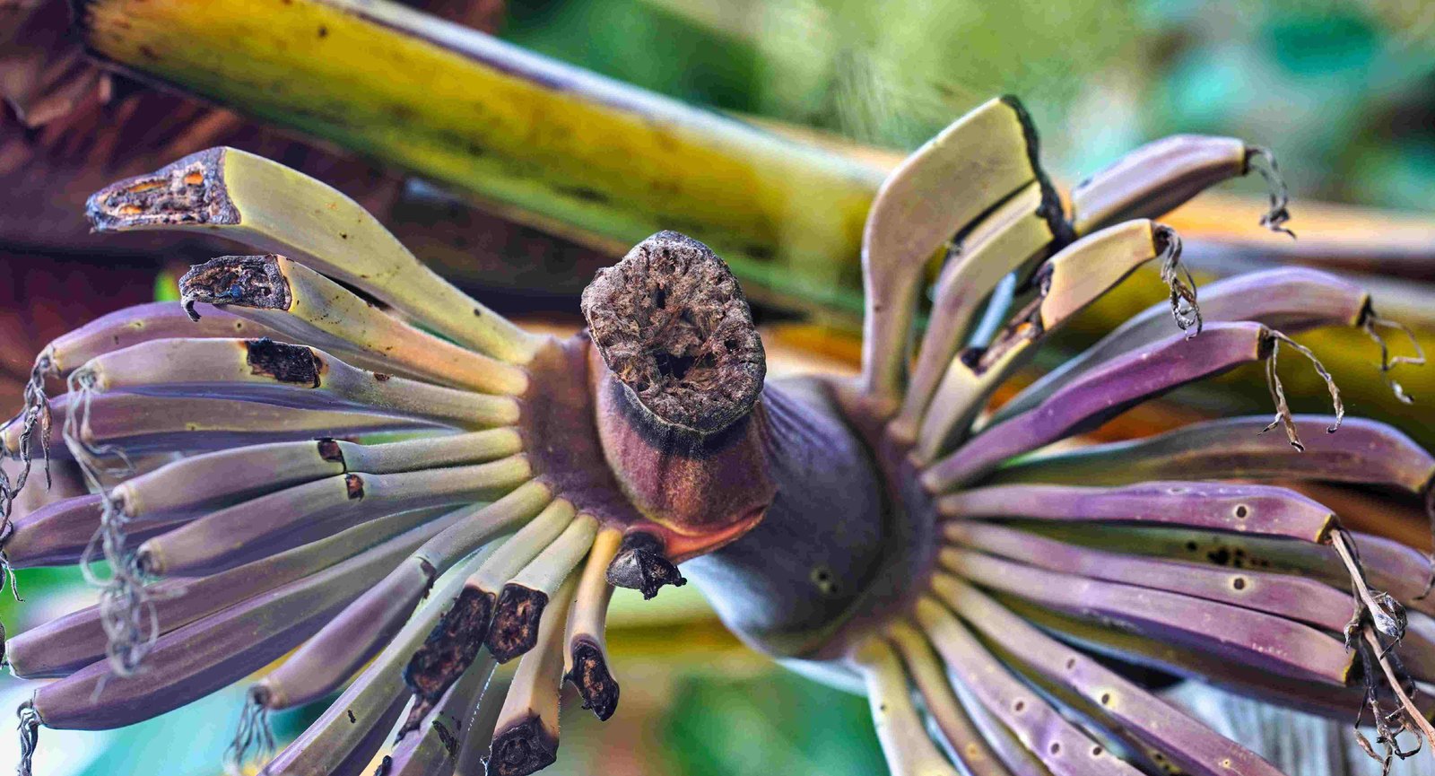 Textile Anthropology